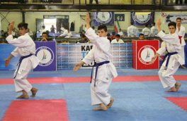 امیدواری  جامعه کاراته به وعده رئیس کمیته المپیک