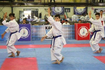 امیدواری  جامعه کاراته به وعده رئیس کمیته المپیک